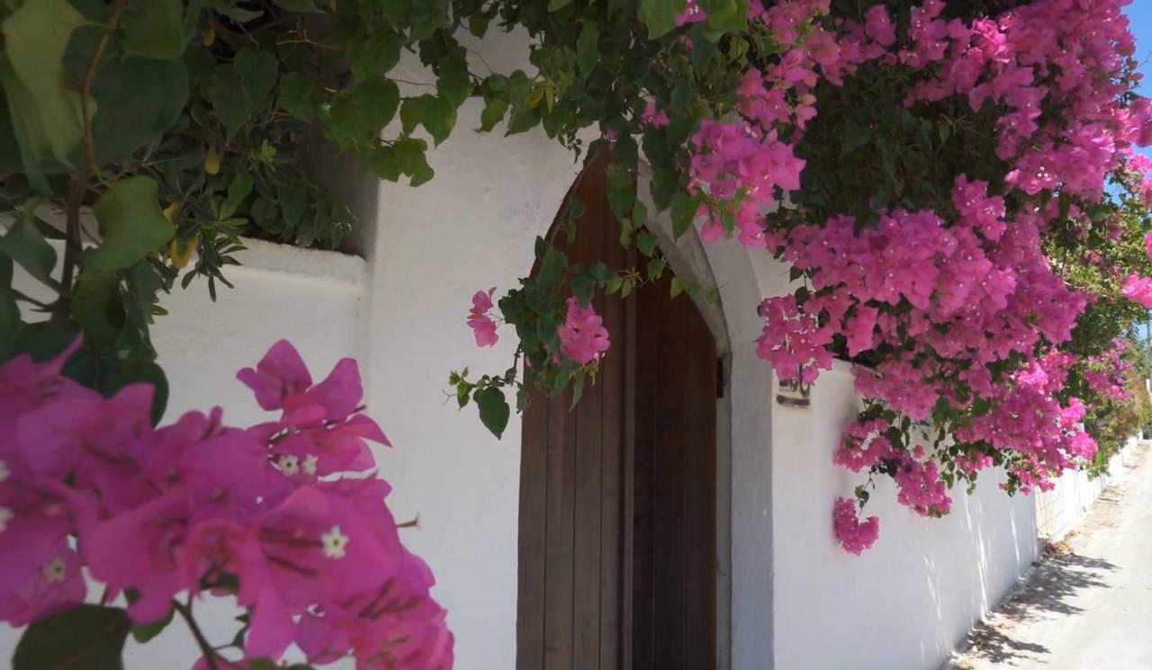 Alexiszorba Villa Plaka  Zewnętrze zdjęcie